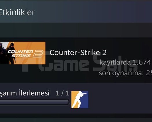 22 YILLIK STEAM HESABI
