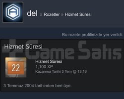 22 YILLIK STEAM HESABI