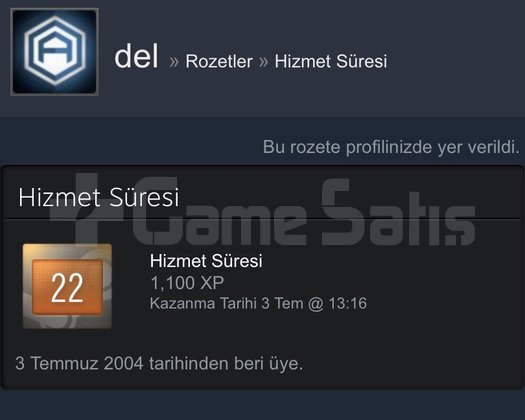 22 YILLIK STEAM HESABI