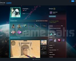 cs2 hesap 18 madalyalı seçkin acil satılık