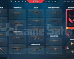PLAT 2 MAİNLEMELİK YÜKSEK MMR HESAP