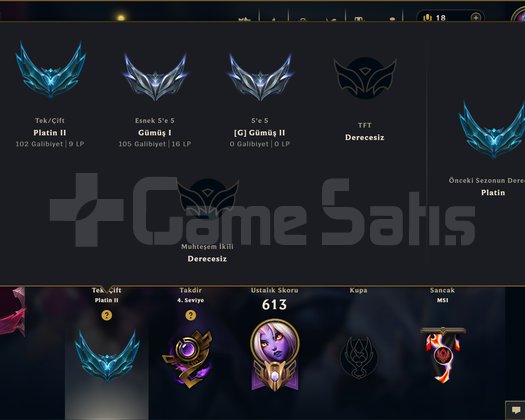 408 KOSTÜM 507 LVL PLATIN EFSANE DOLU MAİL HESAP