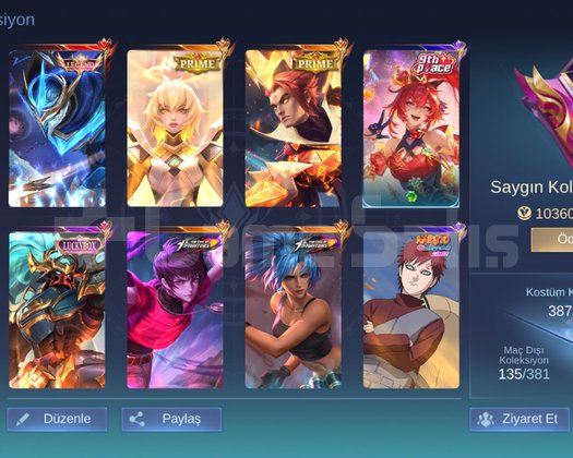 387 skin güvenli bağlantıyla