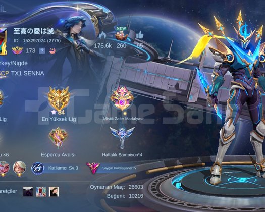 387 skin güvenli bağlantıyla