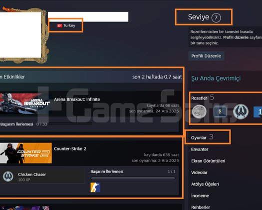 6 MADALYALI 25 LV 151 TL STEAM BAKİYELİ 1300 TL ST