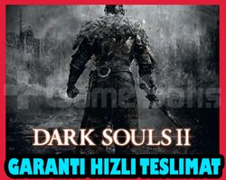 DARK SOULS II Bundle DX9 + OTO GUARD + Garanti
