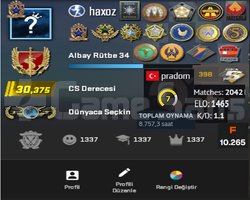 İLK MAİLLİ / MAİNLİK 18 MADALYA+ / 7 LEVEL FACEİT