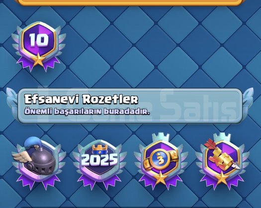 10 YIL ROZETLİ CR+TH16 COC ÖZEL DEKORASYONLU