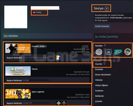7 MADALYALI 25 LV 2250 TL STEAM OYUN ENVANTERLİ MA