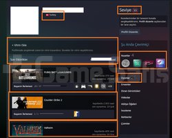 Battlefield 6 PUBG PLUS RAFT Valheim 22.000 TL STE