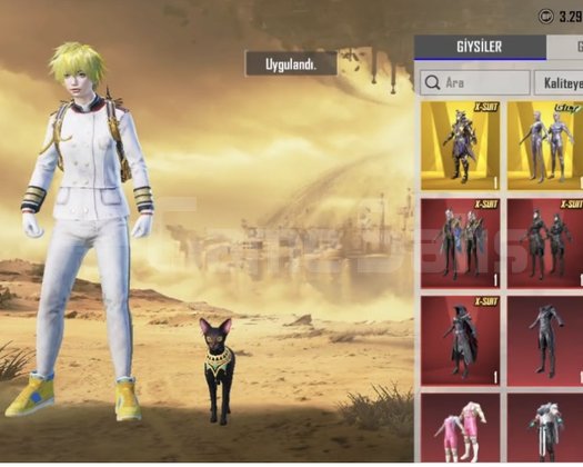 Pubg mobile