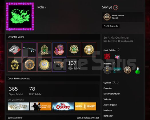 13 MADALYA | 2000 SAAT CS2 | 9 YILLIK | 22 LVL STM