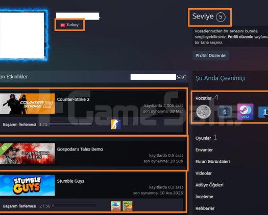 9 MADALYALI 33 LV 2.906 CS 2 SAATLİ 2000 TL STEAM