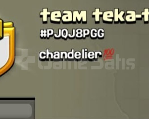 10 SEVİYE UYGUN FİYATLI KLAN team teka-teka
