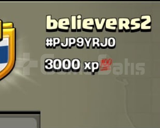10 SEVİYE UCUZ KLAN believers2