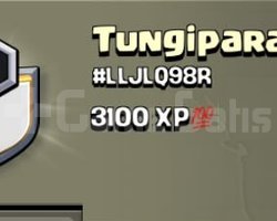 8 SEVİYE 3000 XP KLAN Tungipara