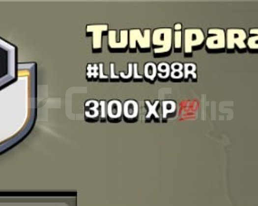 8 SEVİYE 3000 XP KLAN Tungipara
