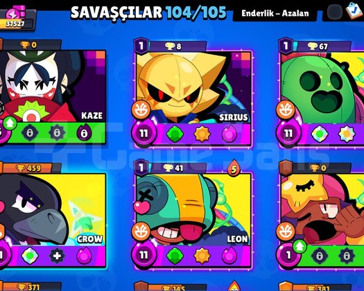 37.5K FULL+FULL MAIN HESAP