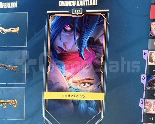 222seviye 22iyi skin+battle pass skinleri