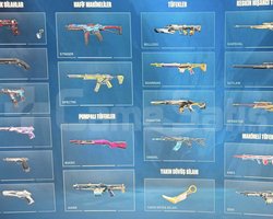 222seviye 22iyi skin+battle pass skinleri