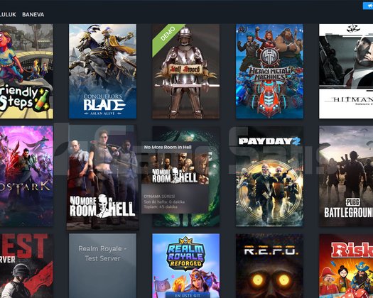CS SEÇKİN GÜZEL OYUNLU STEAM HESABI