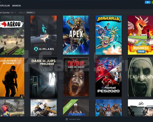 CS SEÇKİN GÜZEL OYUNLU STEAM HESABI