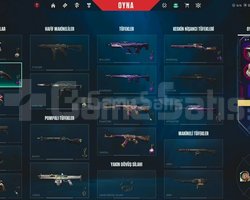SERİ TETİK FULL SET VE 1 BAATLE PAAS VE 240 VP
