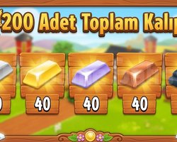 EN HIZLI TESLİMAT 200 ADET KALIP