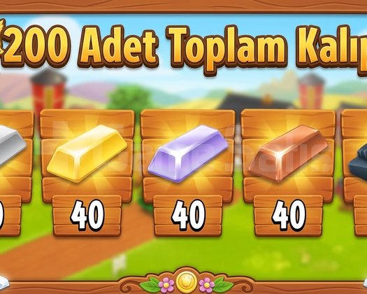 EN HIZLI TESLİMAT 200 ADET KALIP