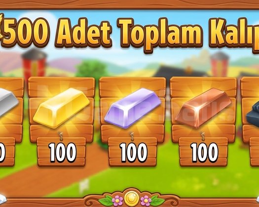 EN HIZLI TESLİMAT 500 ADET KALIP