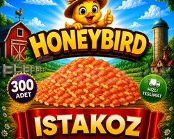 300 ADET ISTAKOZ KAMPANYALI
