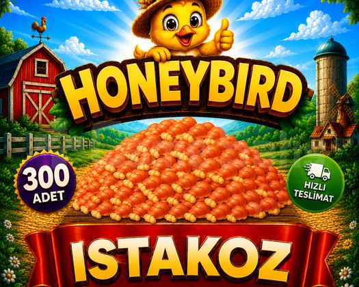300 ADET ISTAKOZ KAMPANYALI