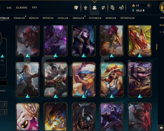 TR / 283 LEVEL / 180 SKİN / FUL HERO +MAİL+TELEFON