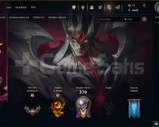 EUW | 290 SKİN | BRONZ 2