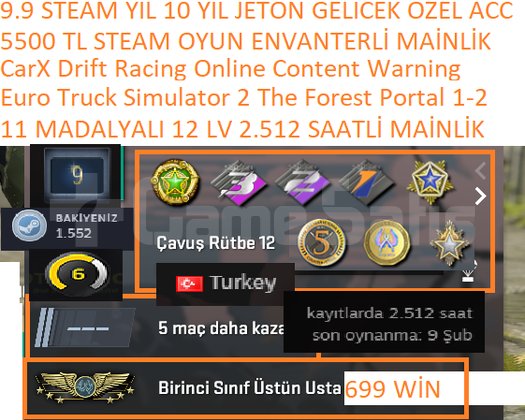 ETS 2 The Forest Portal 1-2 5500 TL STEAM OYUN ENV