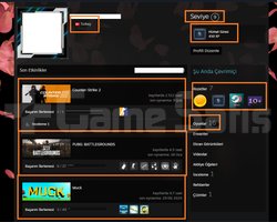 ETS 2 The Forest Portal 1-2 5500 TL STEAM OYUN ENV