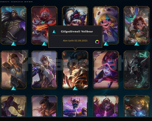 499 LP MAİNLEMELİK TERTEMİZ HESAP