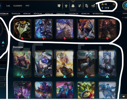 TR / 255 LEVEL / 130 SKİN / FUL HERO +MAİL