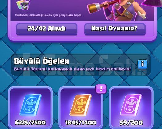 13600 KUPA 1790 KOLEKSİYON HESAP