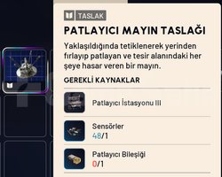 PATLAYICI MAYIN TASLAĞI