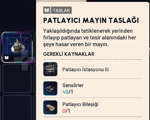 PATLAYICI MAYIN TASLAĞI