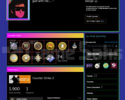 13 MADALYALI 40LVL STEAM MAİNLİK HESAP