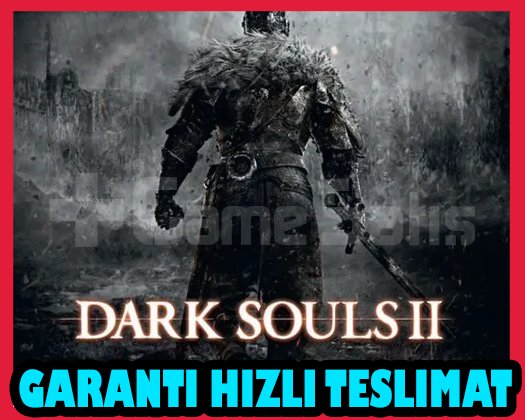 DARK SOULS II Bundle DX9 + OTO GUARD + Garanti