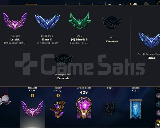 Sağlam MASTER Hesap 60wr