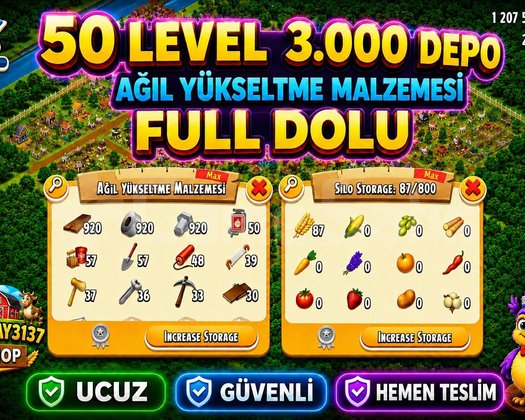 50 LEVEL 3000 DEPO FULL AĞIL DOLU HESAP