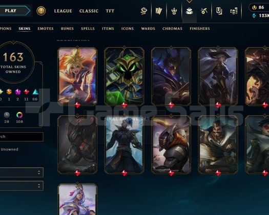 66WR SKİNLİ 454 LP MASTER HESAP