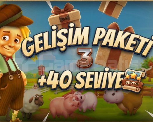 HIZLI GELİŞİM PAKETİ 3 +40 LEVEL İÇİN