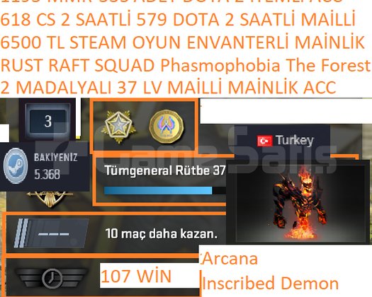 ARCANE 1 AD RUST SQUAD RAFT 6500 TL STEAM OYUN ENV
