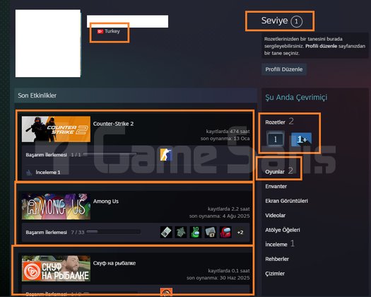 3 MADALYALI 21 LV 266 TL STEAM BAKİYELİ 1100 TL ST