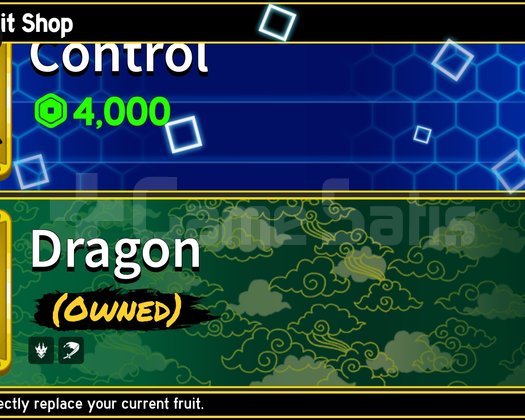 Perm dragonlu blox fruit hesabı